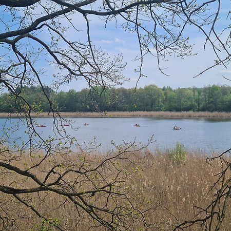 Przystan Natura Iława Zewnętrze zdjęcie