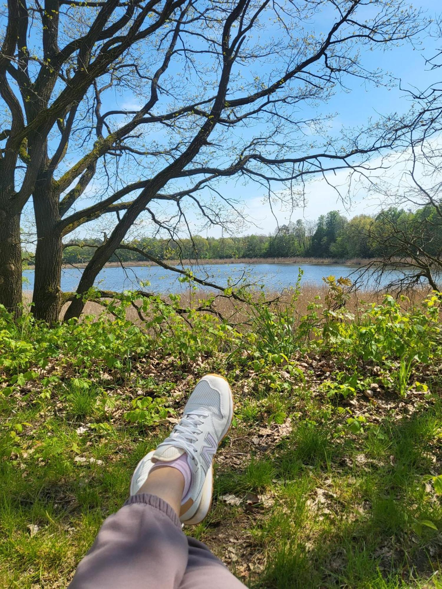 Przystan Natura Iława Zewnętrze zdjęcie